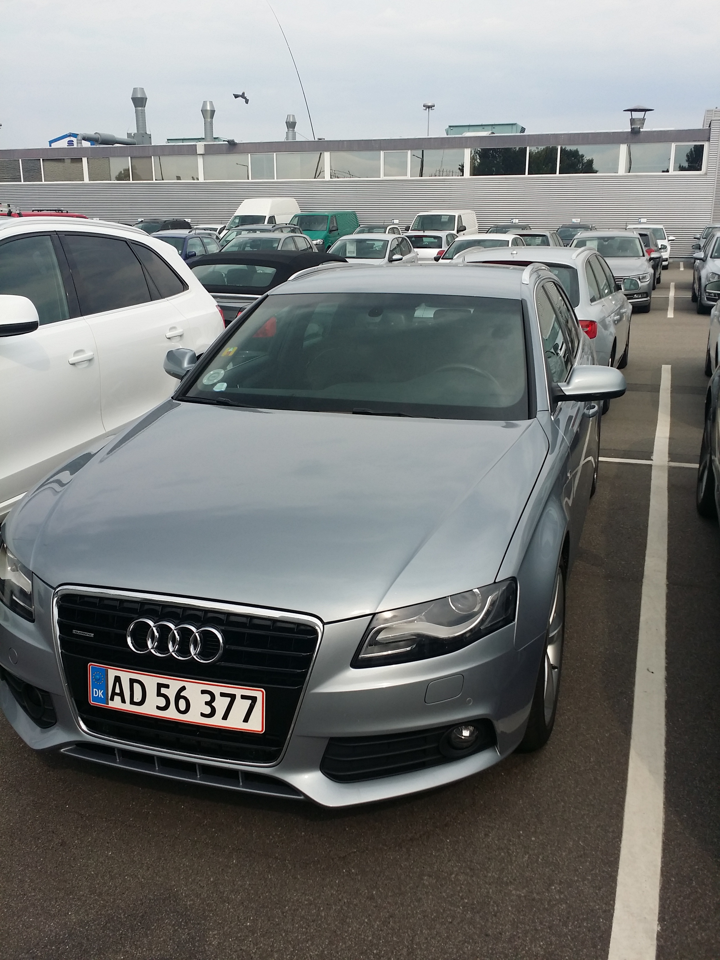 https://www.mos-eisley.dk/media/FamilieBilleder/2015/Audi%20A4%20Avant%20TDI%20Quattro/20150824_120454.jpg