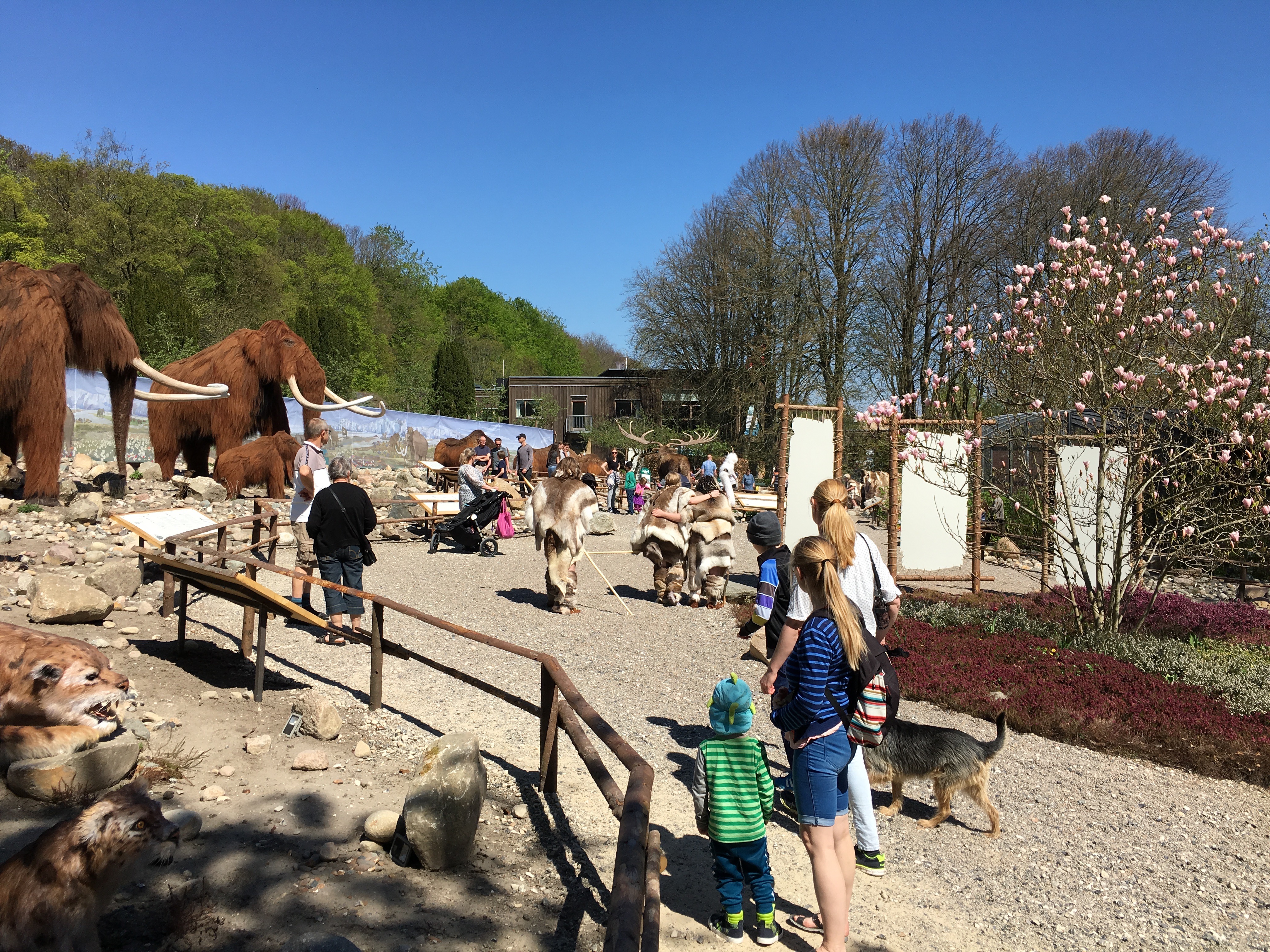 https://www.mos-eisley.dk/media/FamilieBilleder/2016/Aalborg%20Zoo%2008-05-2016/IMG_3327.jpg