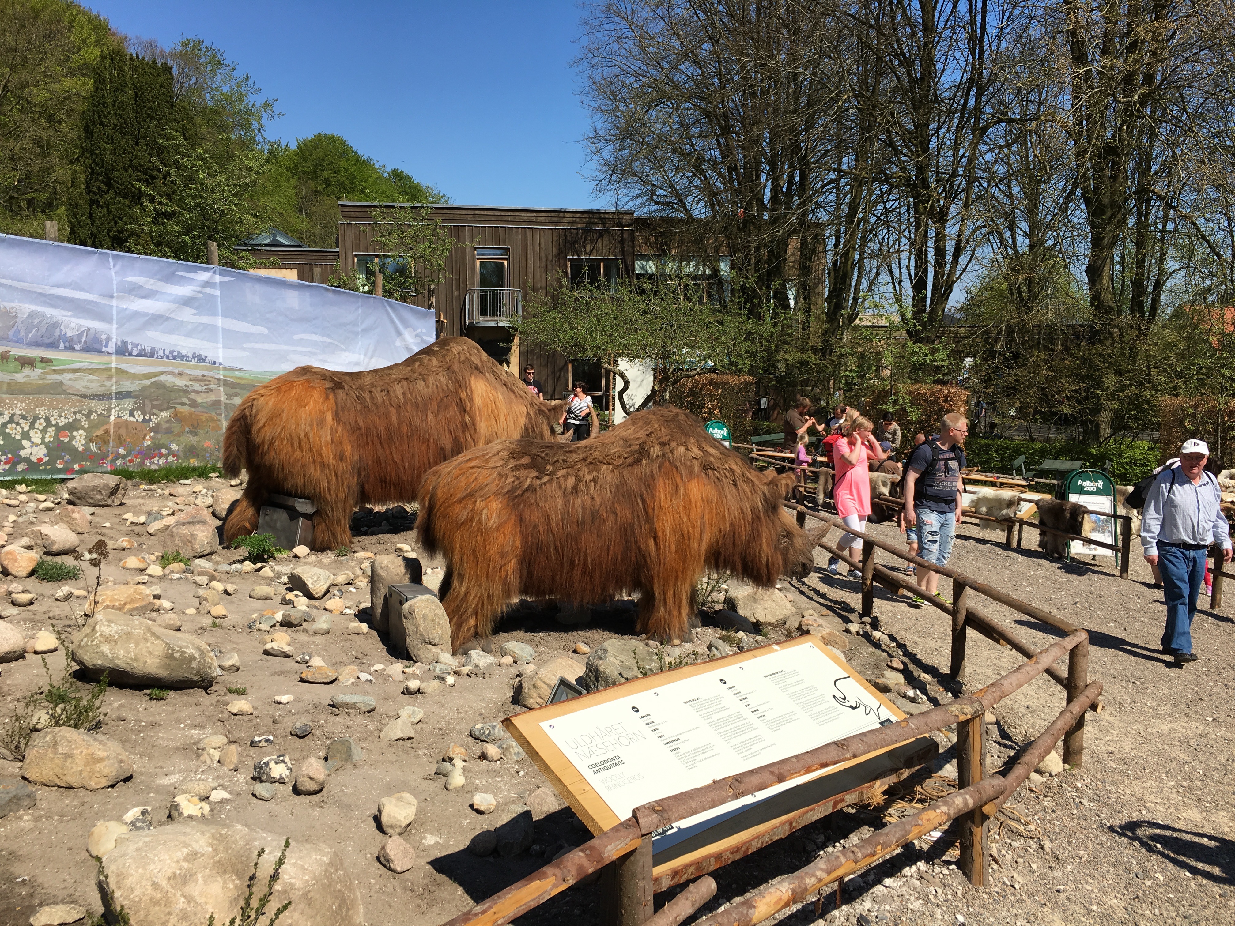 https://www.mos-eisley.dk/media/FamilieBilleder/2016/Aalborg%20Zoo%2008-05-2016/IMG_3338.jpg