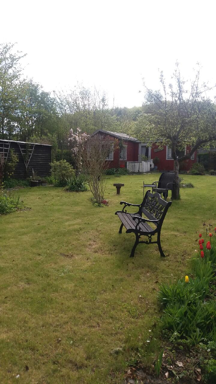 https://www.mos-eisley.dk/media/FamilieBilleder/2018/Kolonihave%20salg%2002-04-2018/IMG_5591.jpg