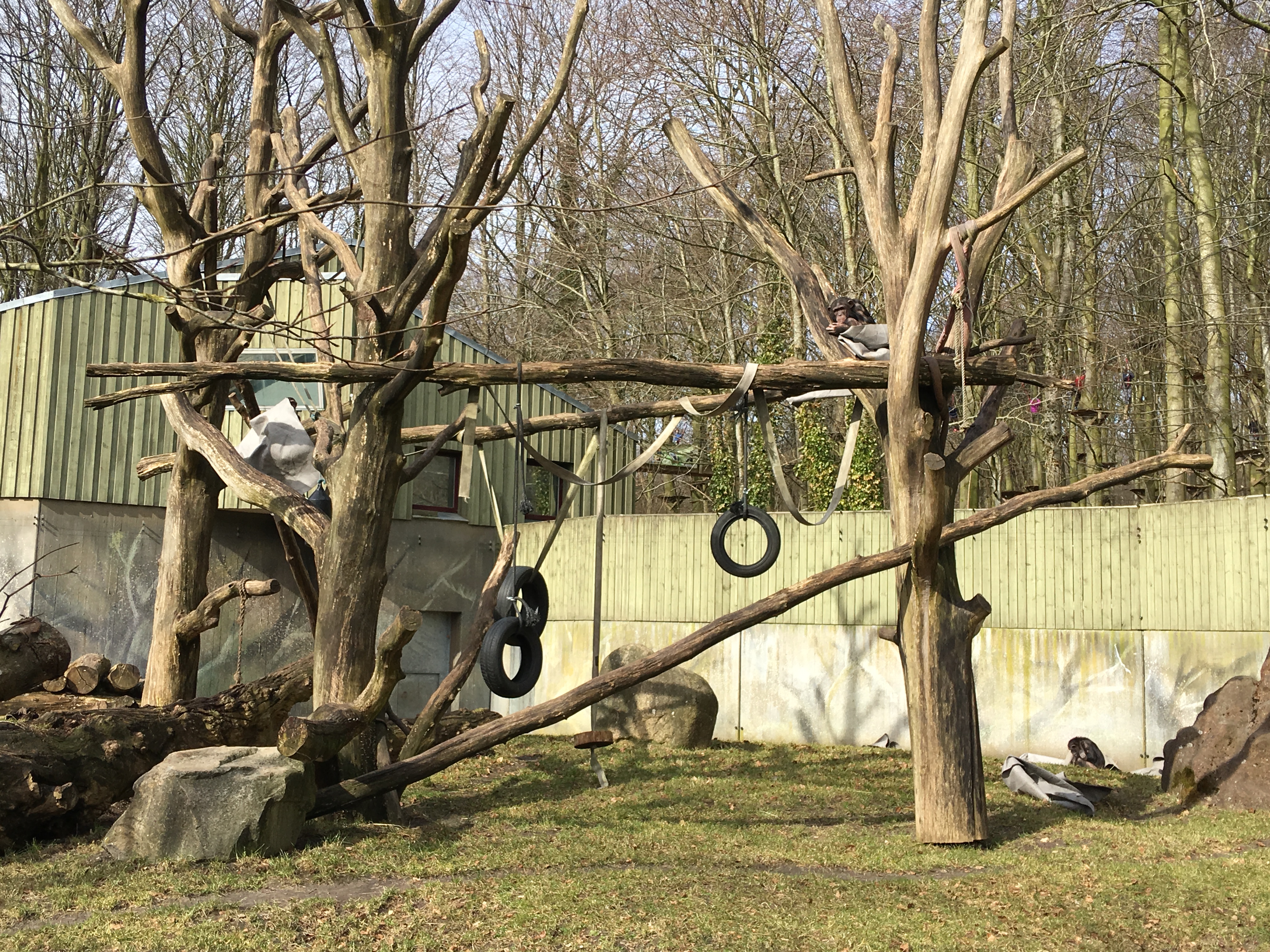 https://www.mos-eisley.dk/media/FamilieBilleder/2018/Zoo%2007-04-2018/IMG_5627.jpg