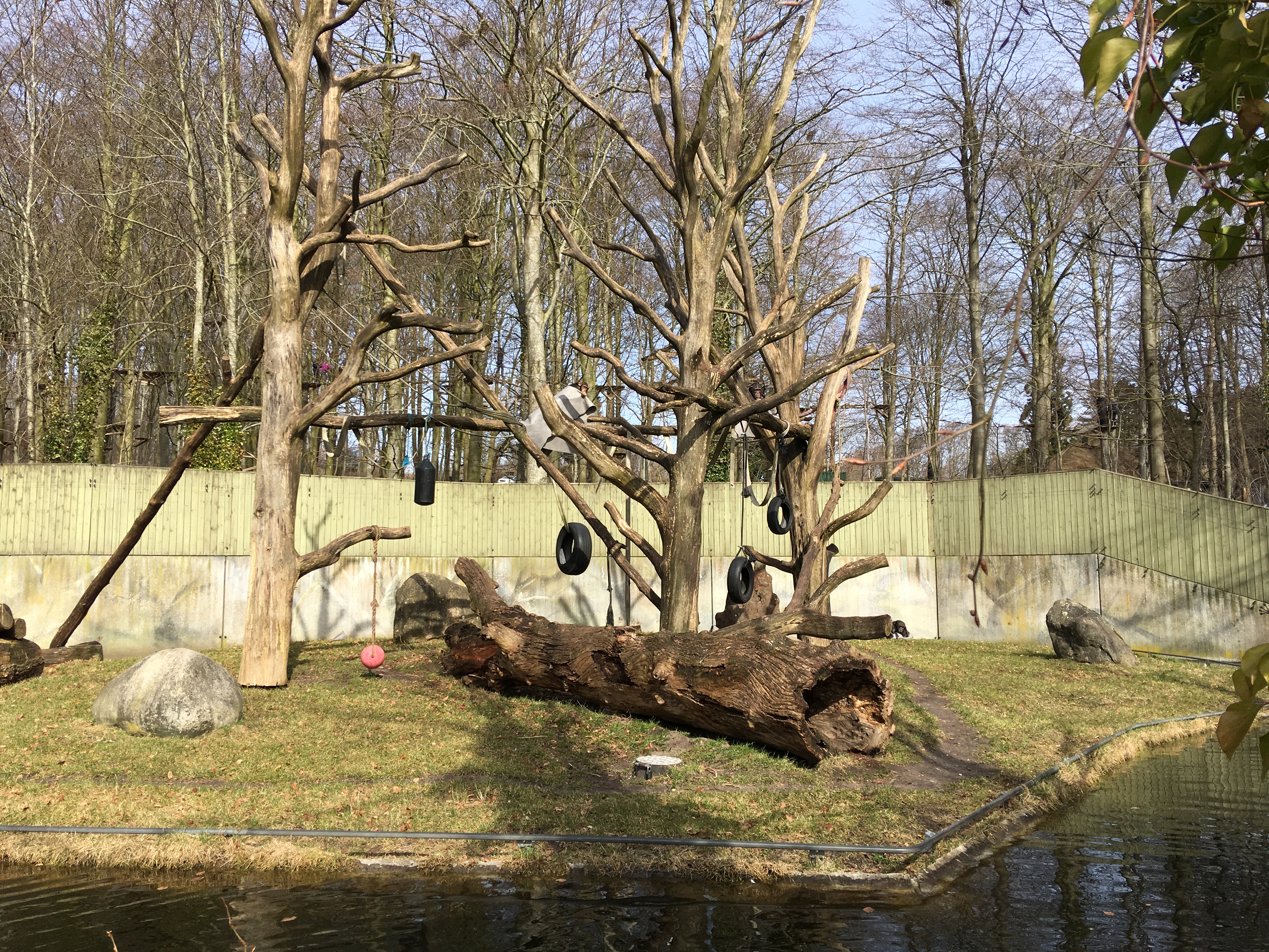 https://www.mos-eisley.dk/media/FamilieBilleder/2018/Zoo%2007-04-2018/IMG_5628.jpg