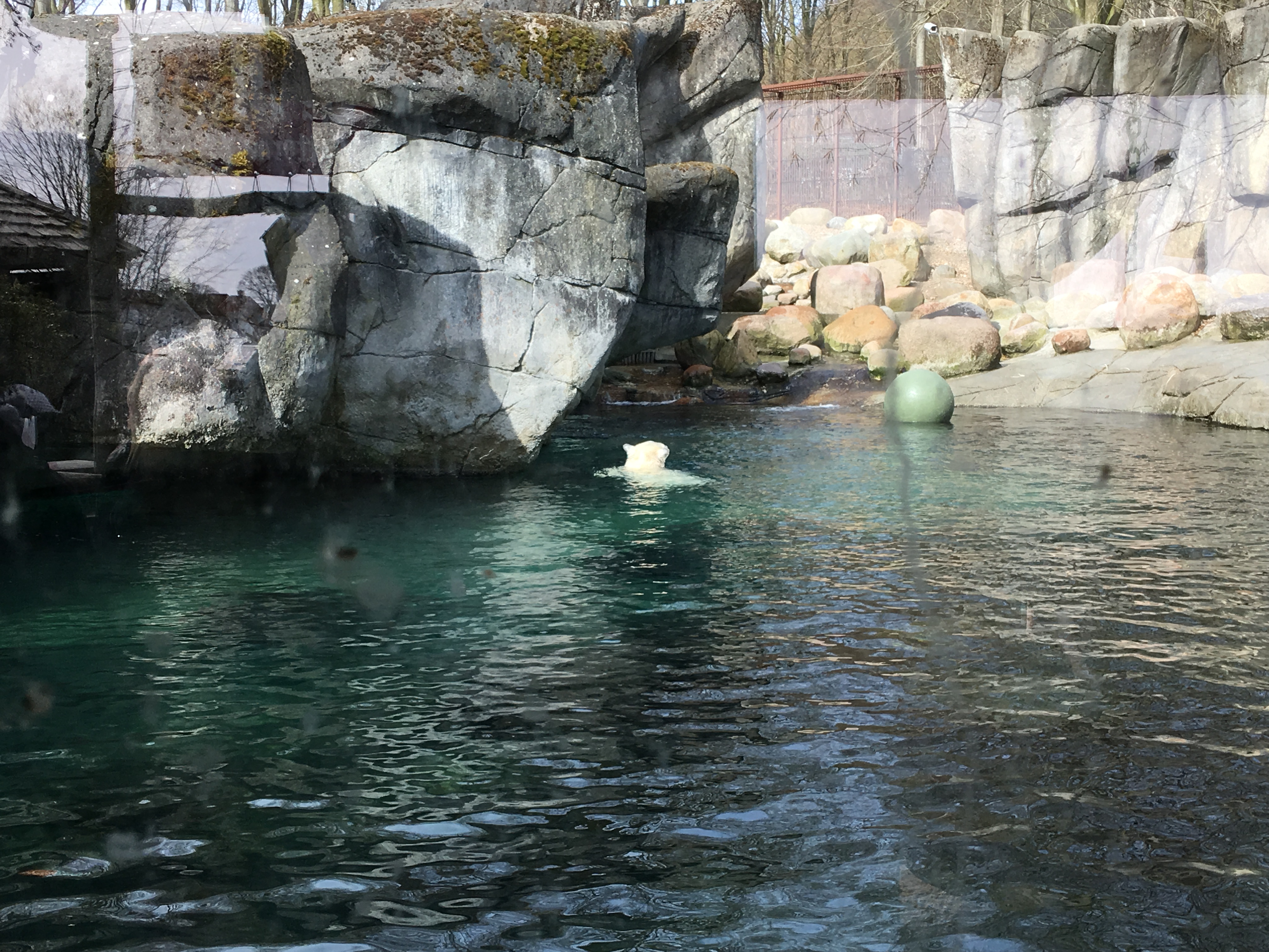 https://www.mos-eisley.dk/media/FamilieBilleder/2018/Zoo%2007-04-2018/IMG_5631.jpg