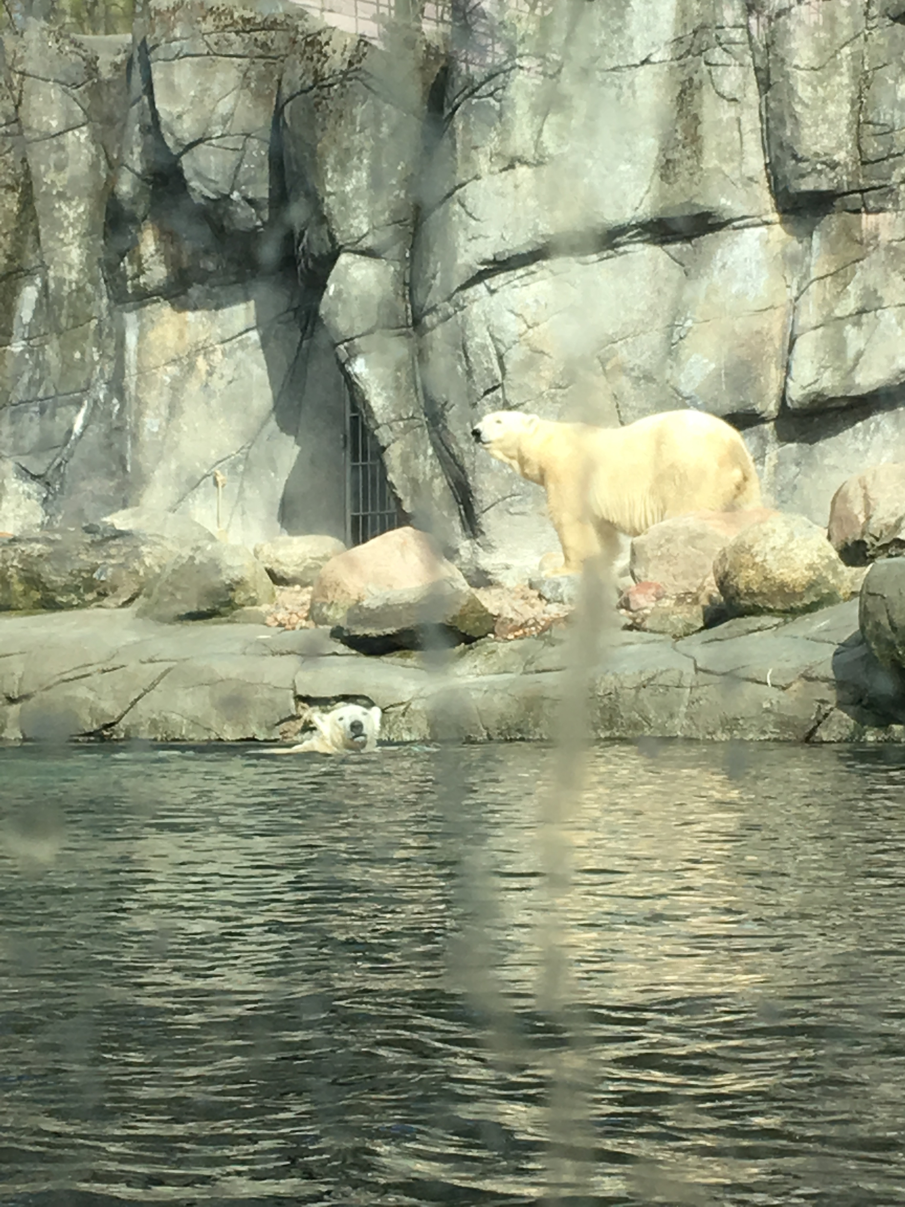 https://www.mos-eisley.dk/media/FamilieBilleder/2018/Zoo%2007-04-2018/IMG_5632.jpg
