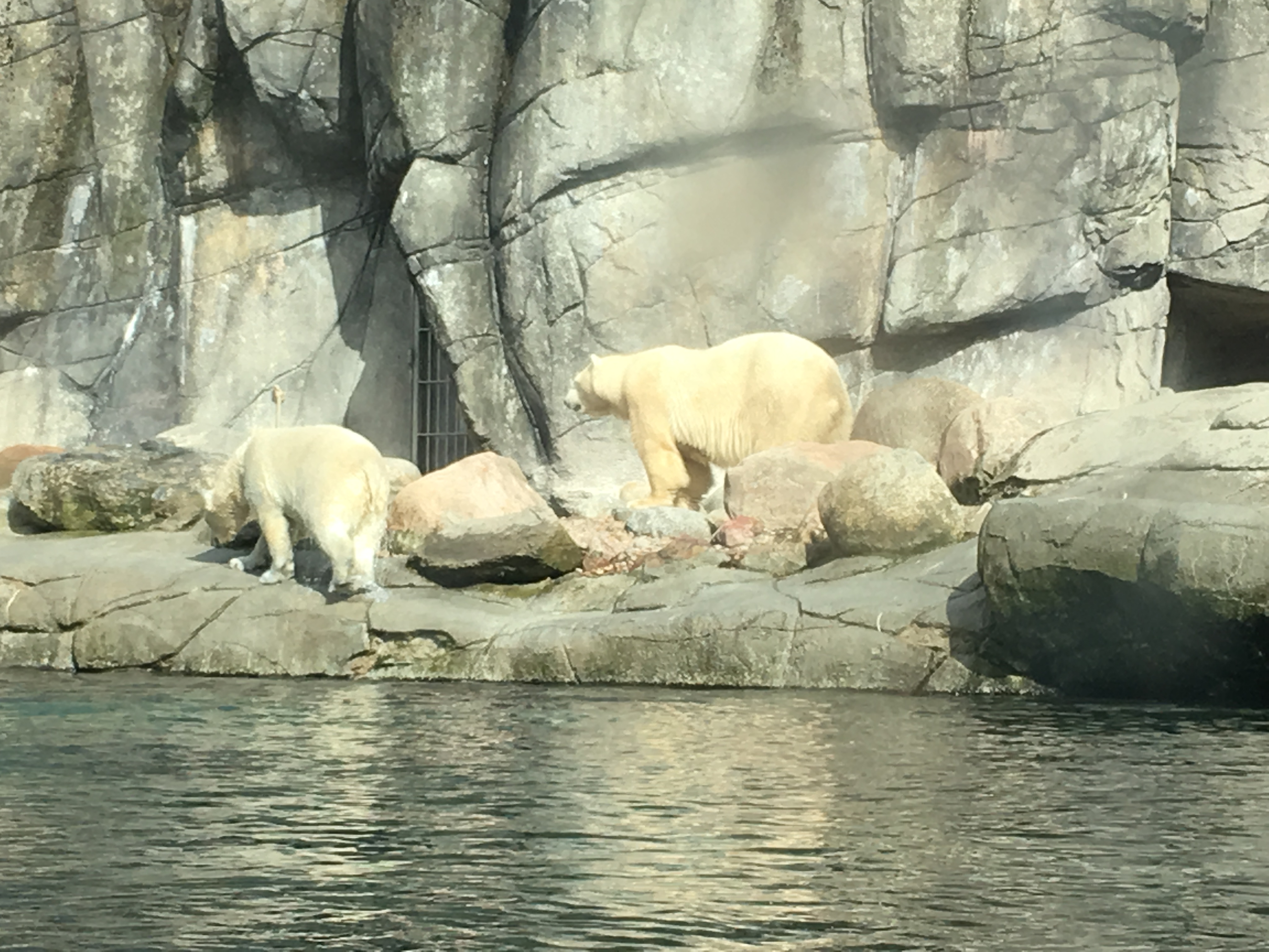 https://www.mos-eisley.dk/media/FamilieBilleder/2018/Zoo%2007-04-2018/IMG_5634.jpg