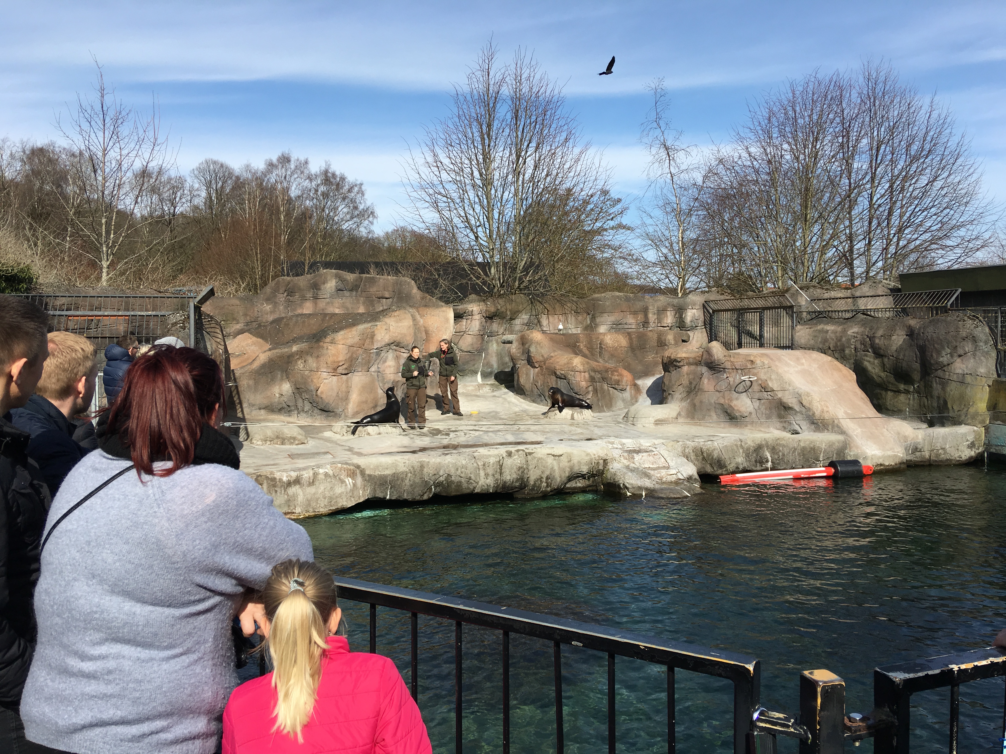 https://www.mos-eisley.dk/media/FamilieBilleder/2018/Zoo%2007-04-2018/IMG_5670.jpg