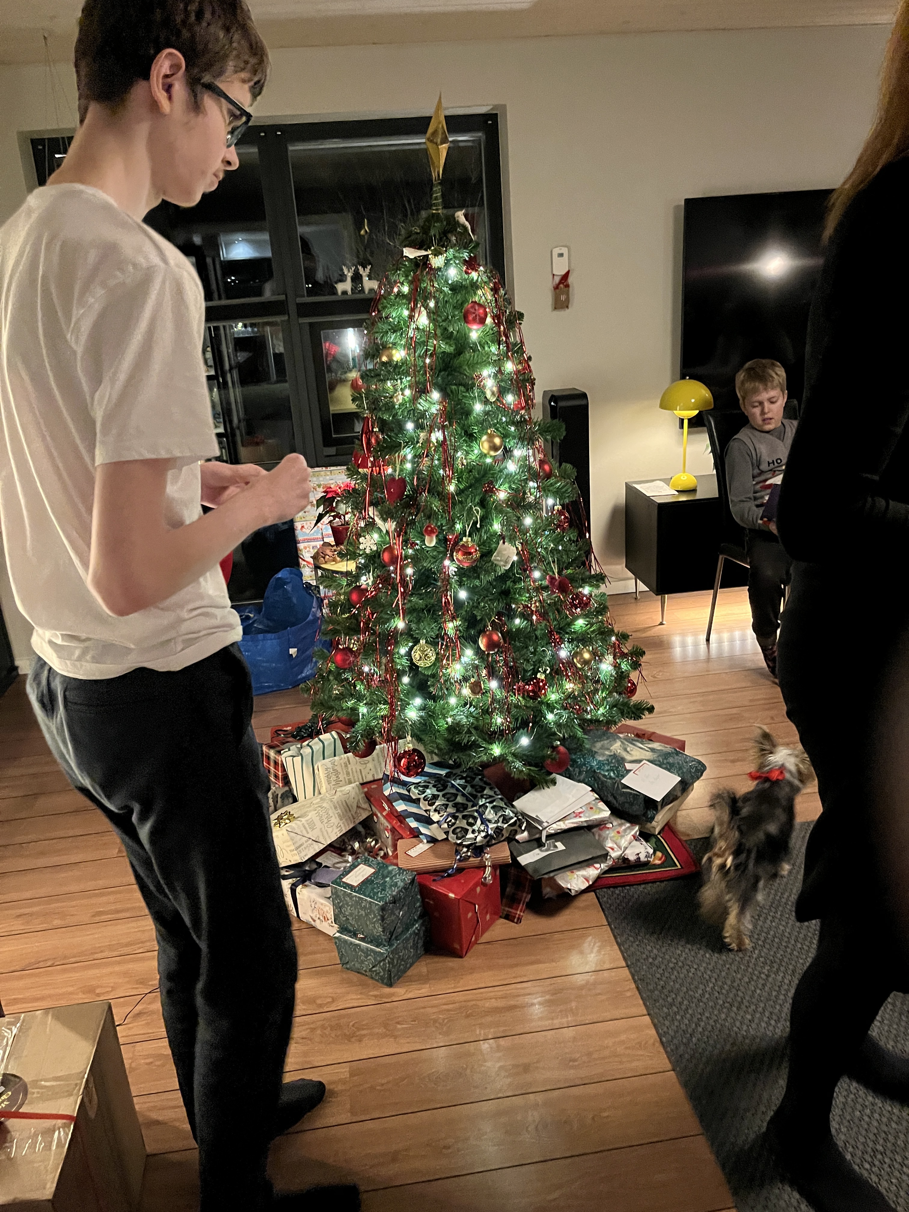 https://www.mos-eisley.dk/media/FamilieBilleder/2022/Juleaften%2024-12-2022/IMG_0602.JPG